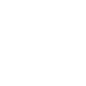 Ecotec Serviço - Bomba Arla 32