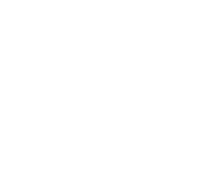 Ecotec Serviço - Módulos Eletrônicos / ECU